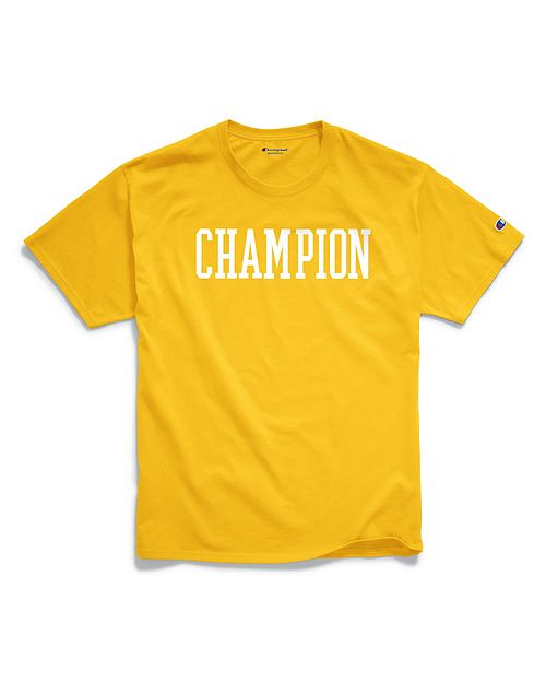 champion mens classic jersey Tee block logo.png