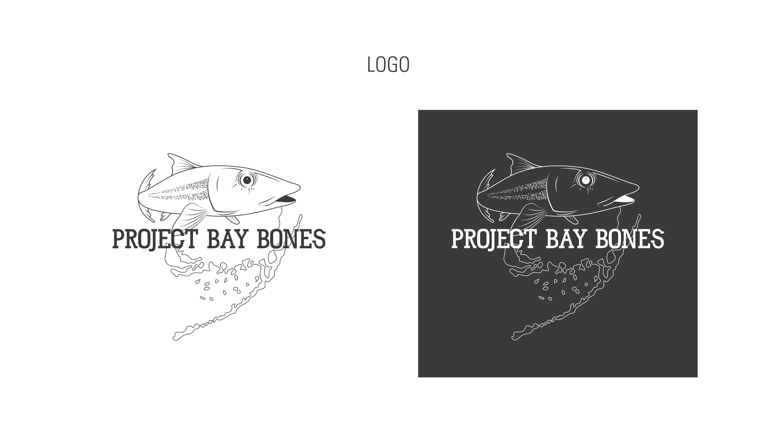 BayBones_BrandBook__Artboard 2.png