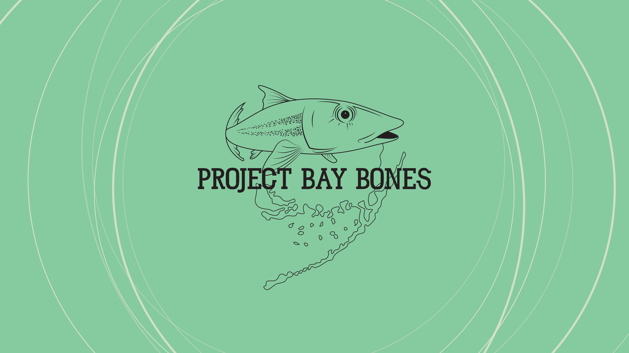 BayBones_BrandBook__Artboard 1.png