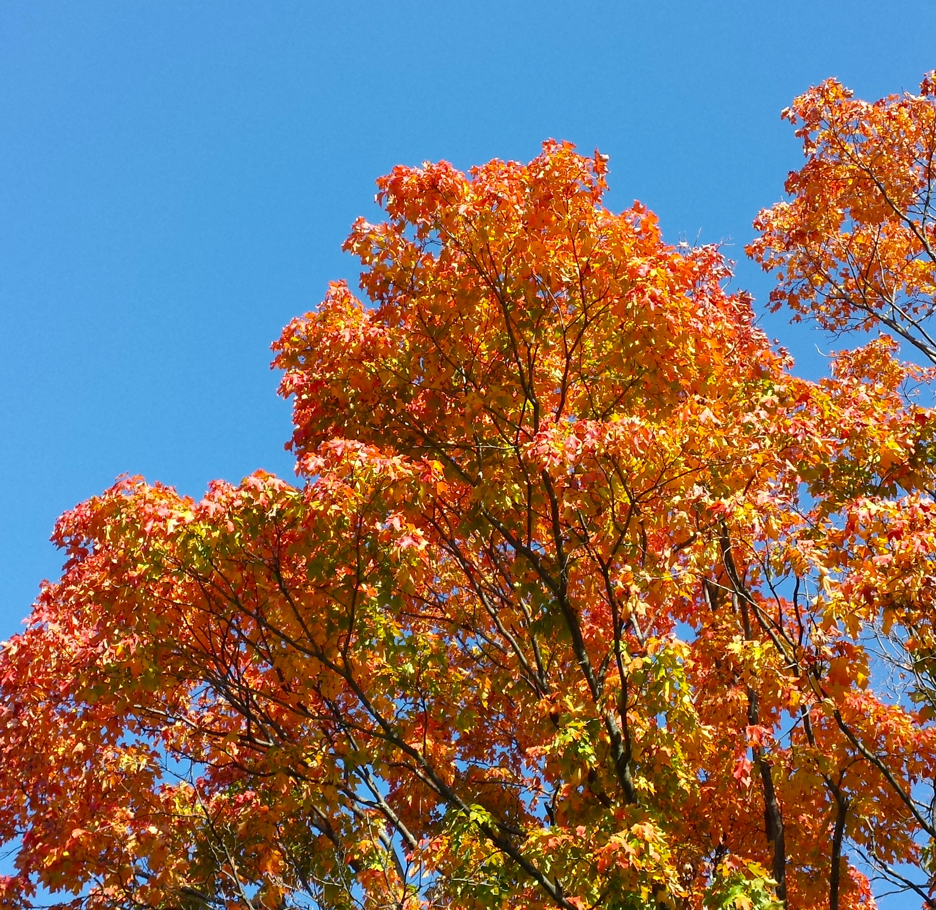 20131019_112723.jpg