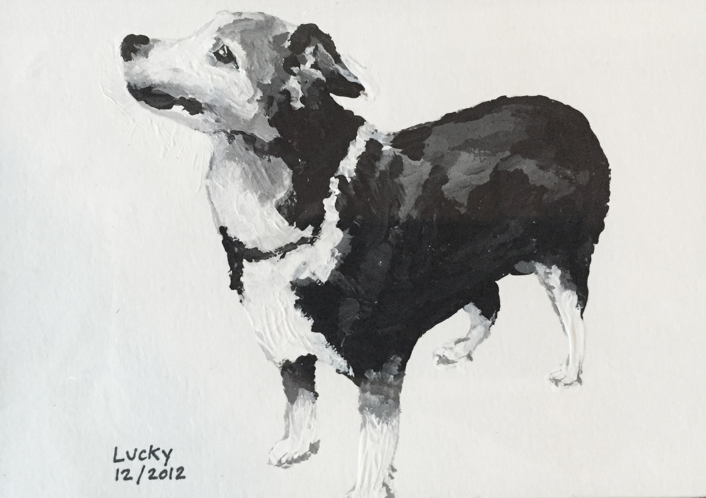 Lucky Portrait