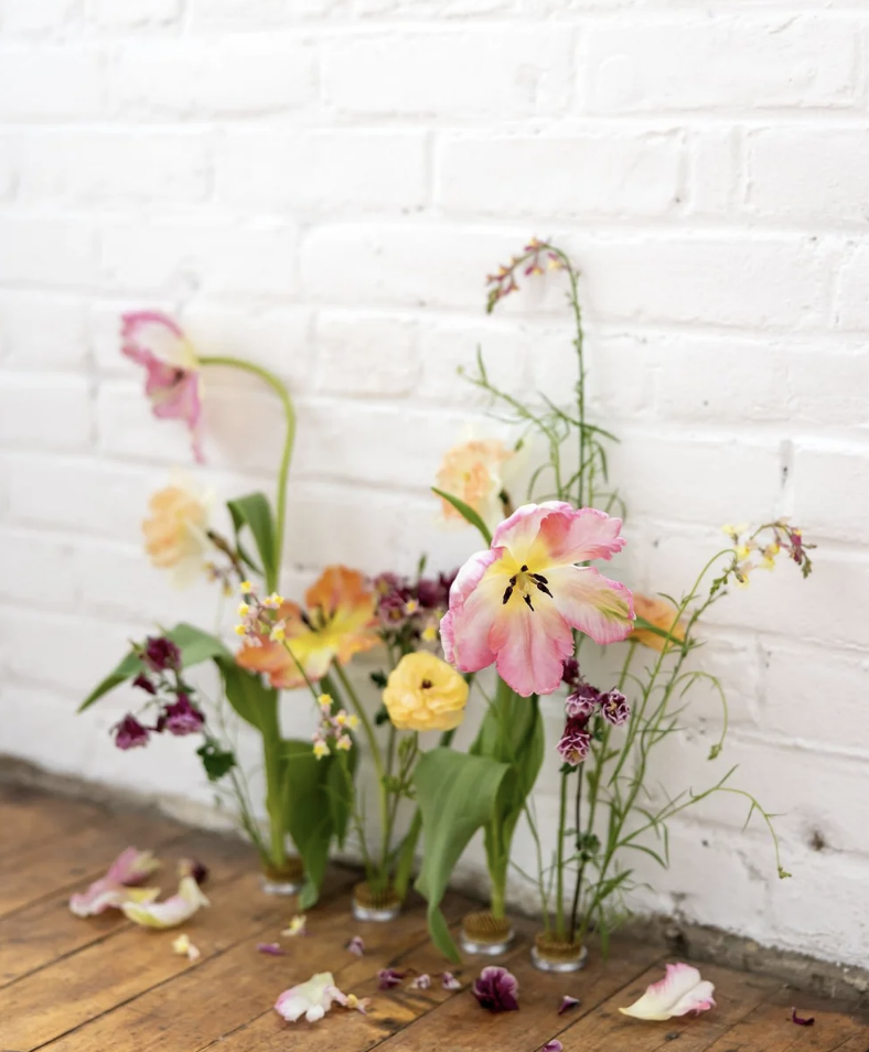 Gather &amp; Bloom Studio