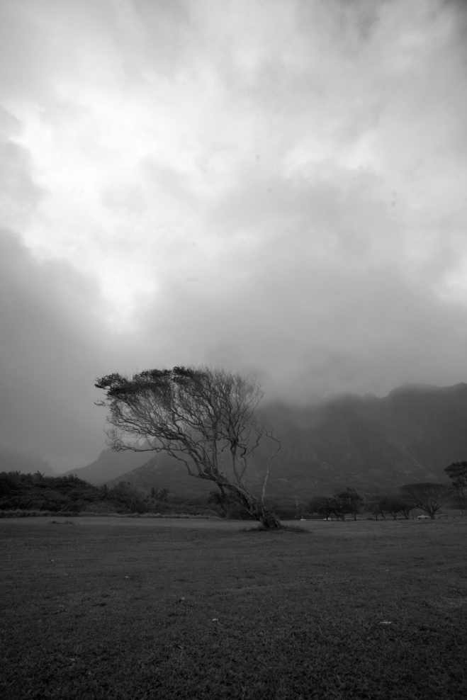  North Shore of Oahu  Hawaii, 2019 