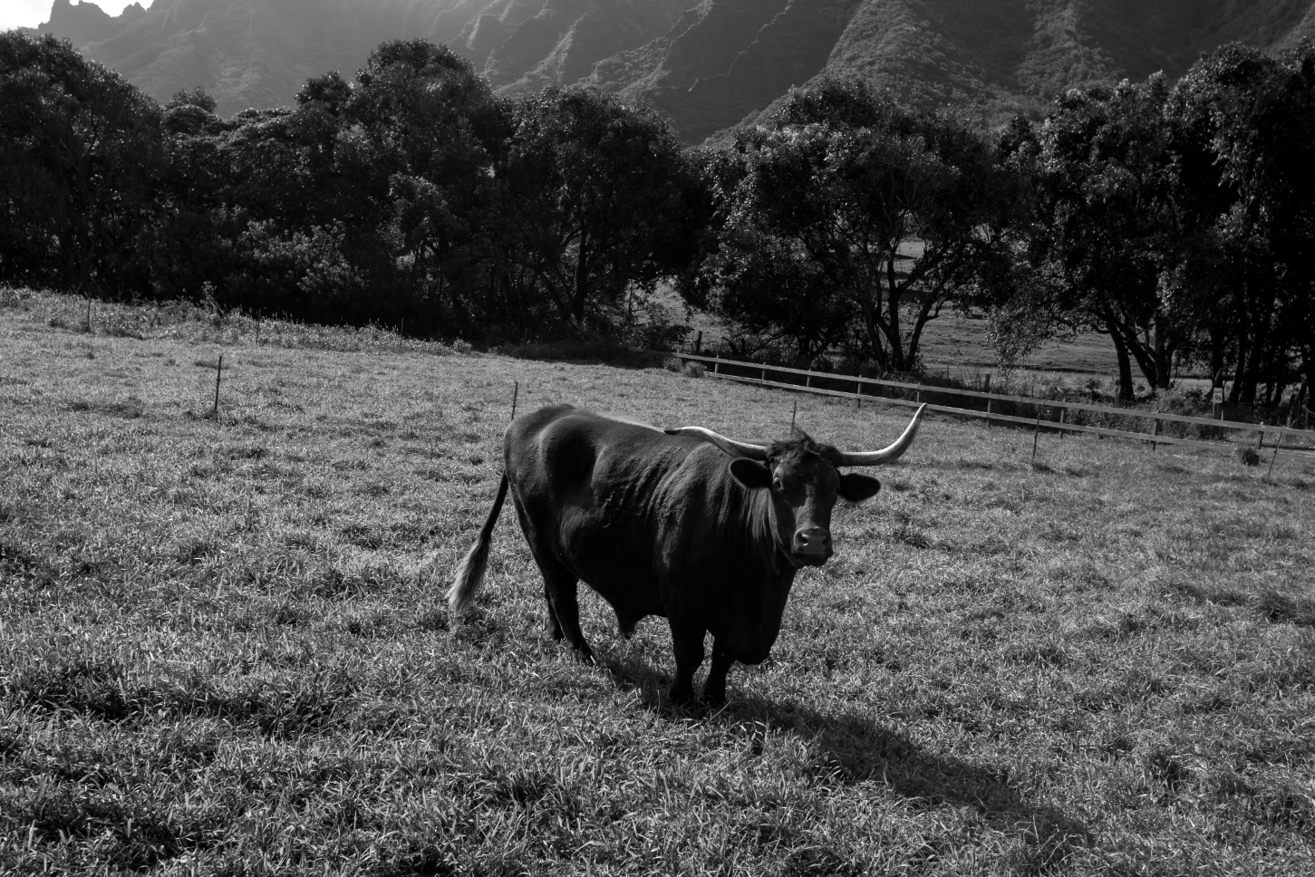  Kualoa Ranch  Hawaii, 2019 