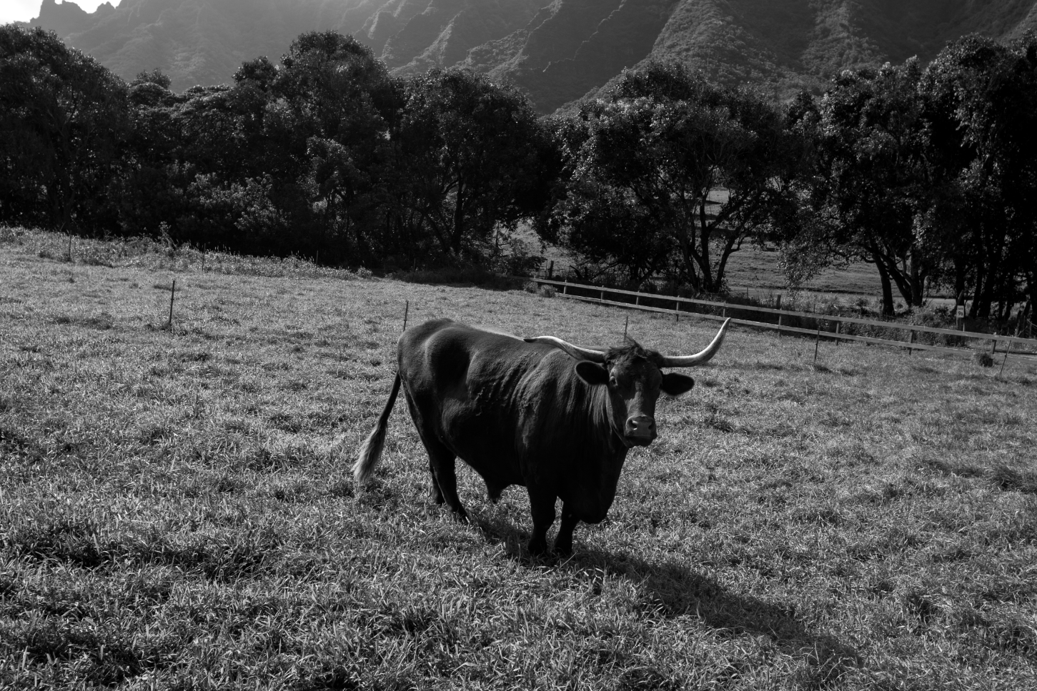 Kualoa Ranch Hawaii, 2019