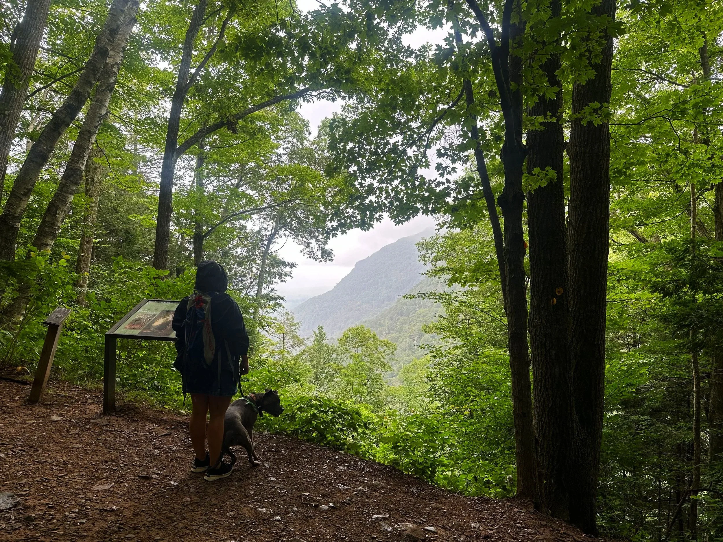 Liz and Largo in the Catskills  New York   2025 