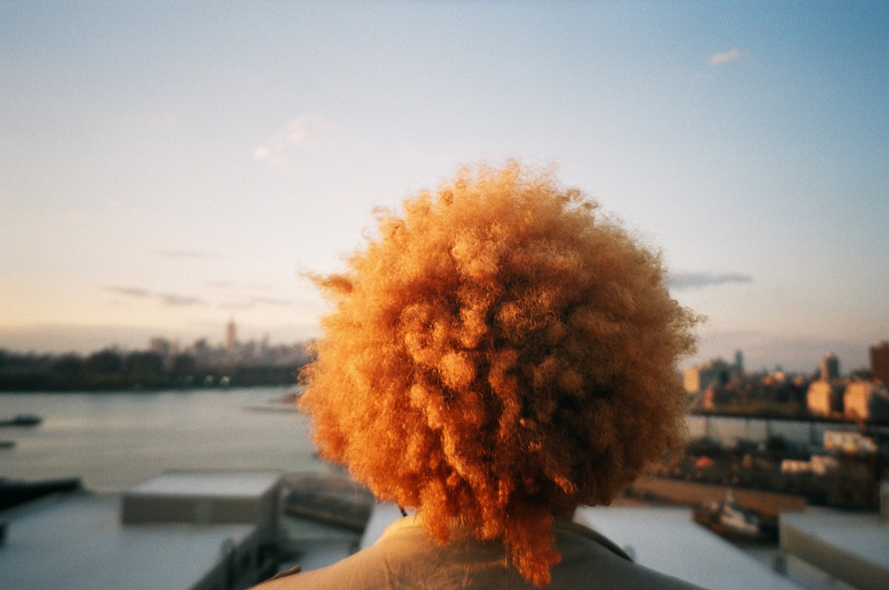 tumblr_n56ex5nvWd1qhtbrqo1_1280.jpg