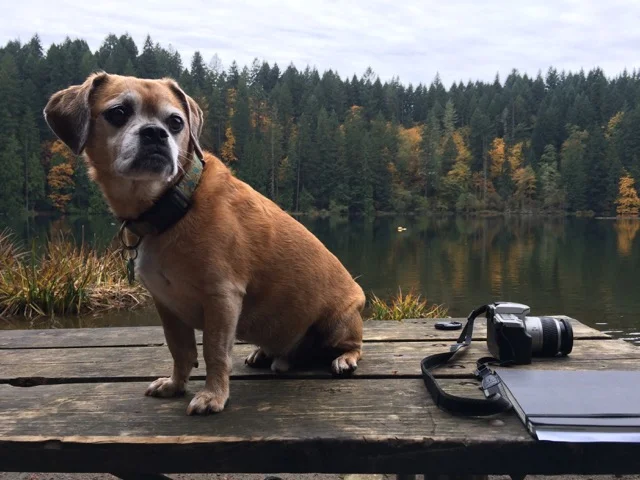 OREGON: LOCAL TAKE  - A DAY IN PORTLAND