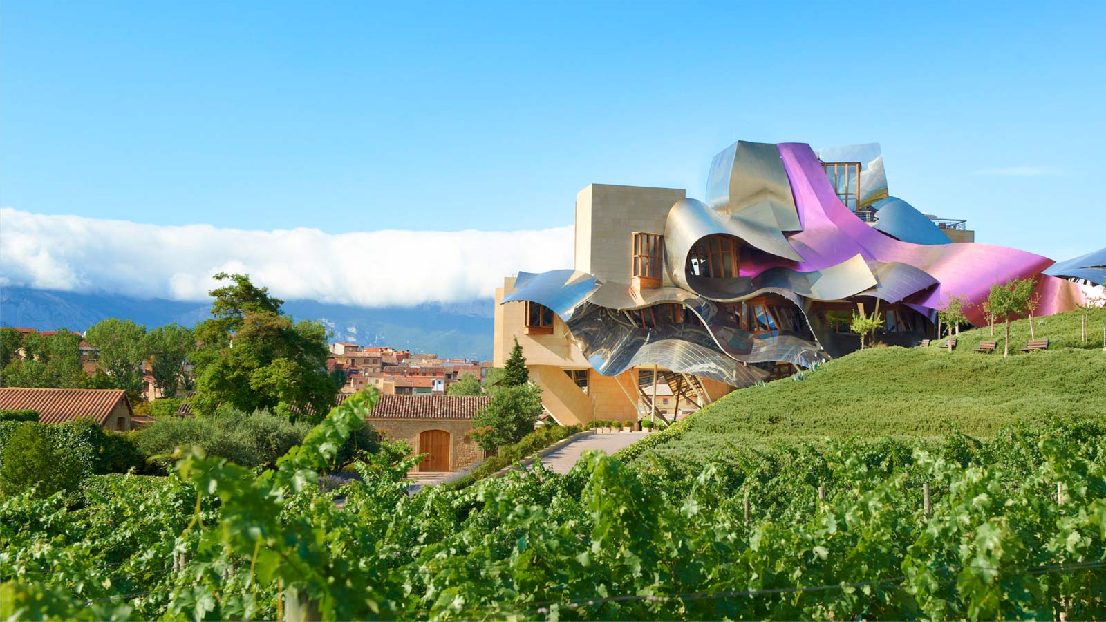  DRINK UP &nbsp;- A WEEKEND IN RIOJA 