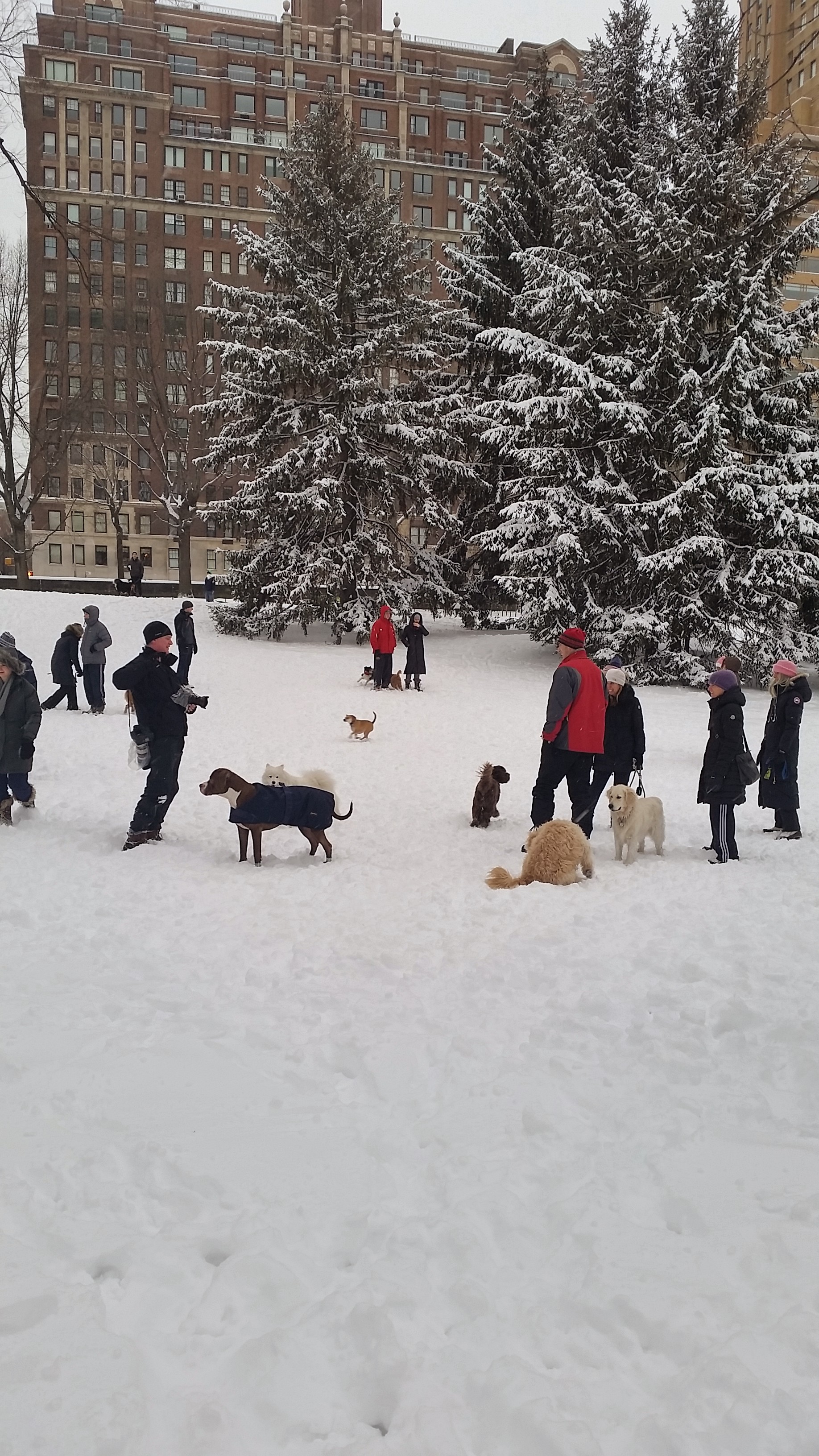 20150127_082947.jpg