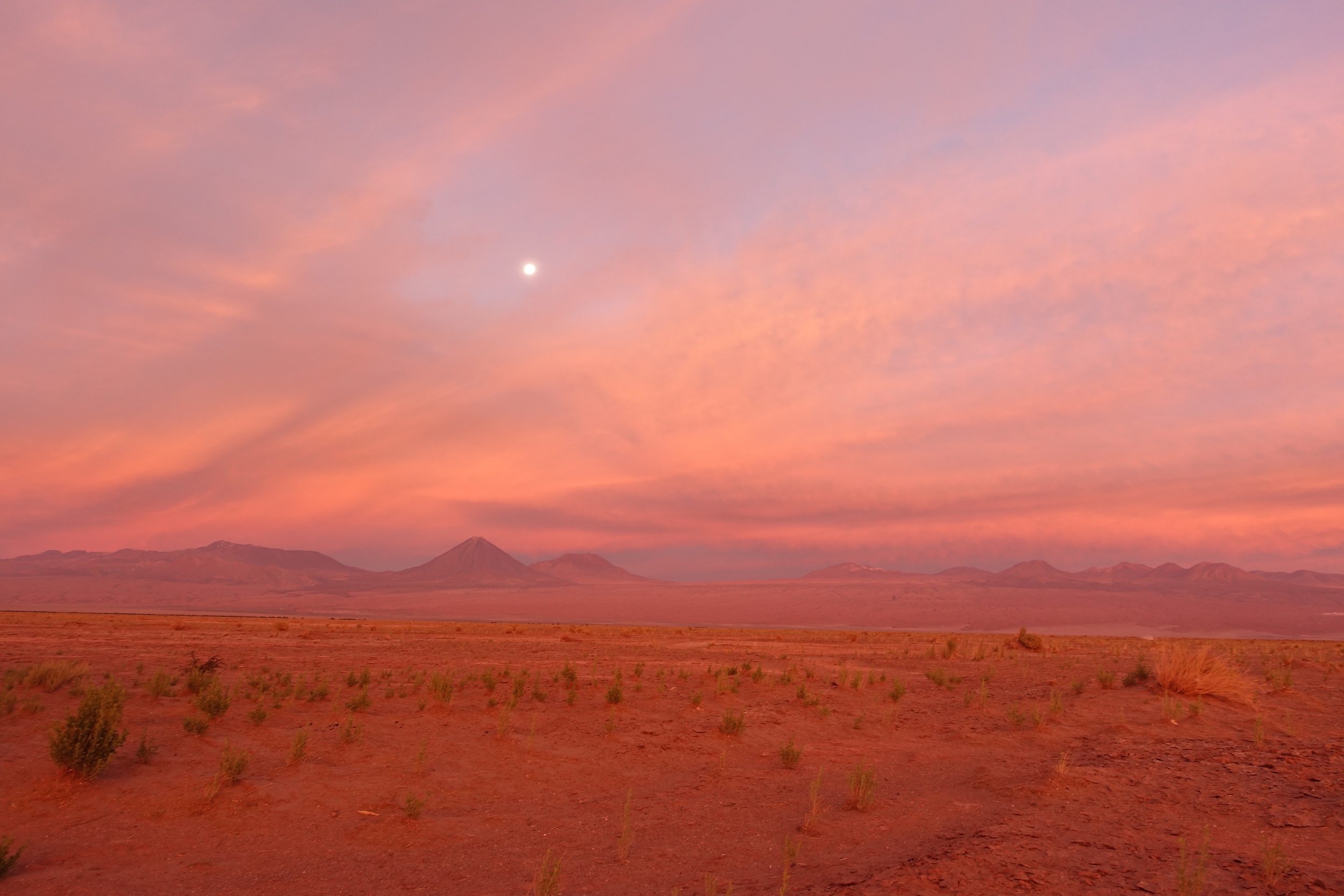  A FEW DAYS IN THE ATACAMA DESERT 