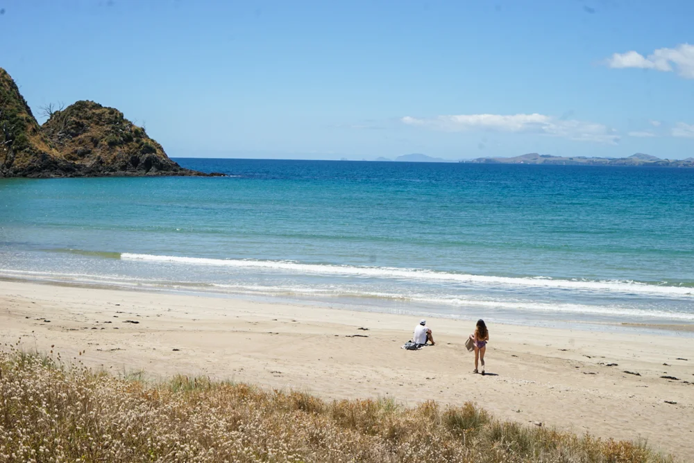 12 Daytripper365 New Zealand (21 of 37).jpg