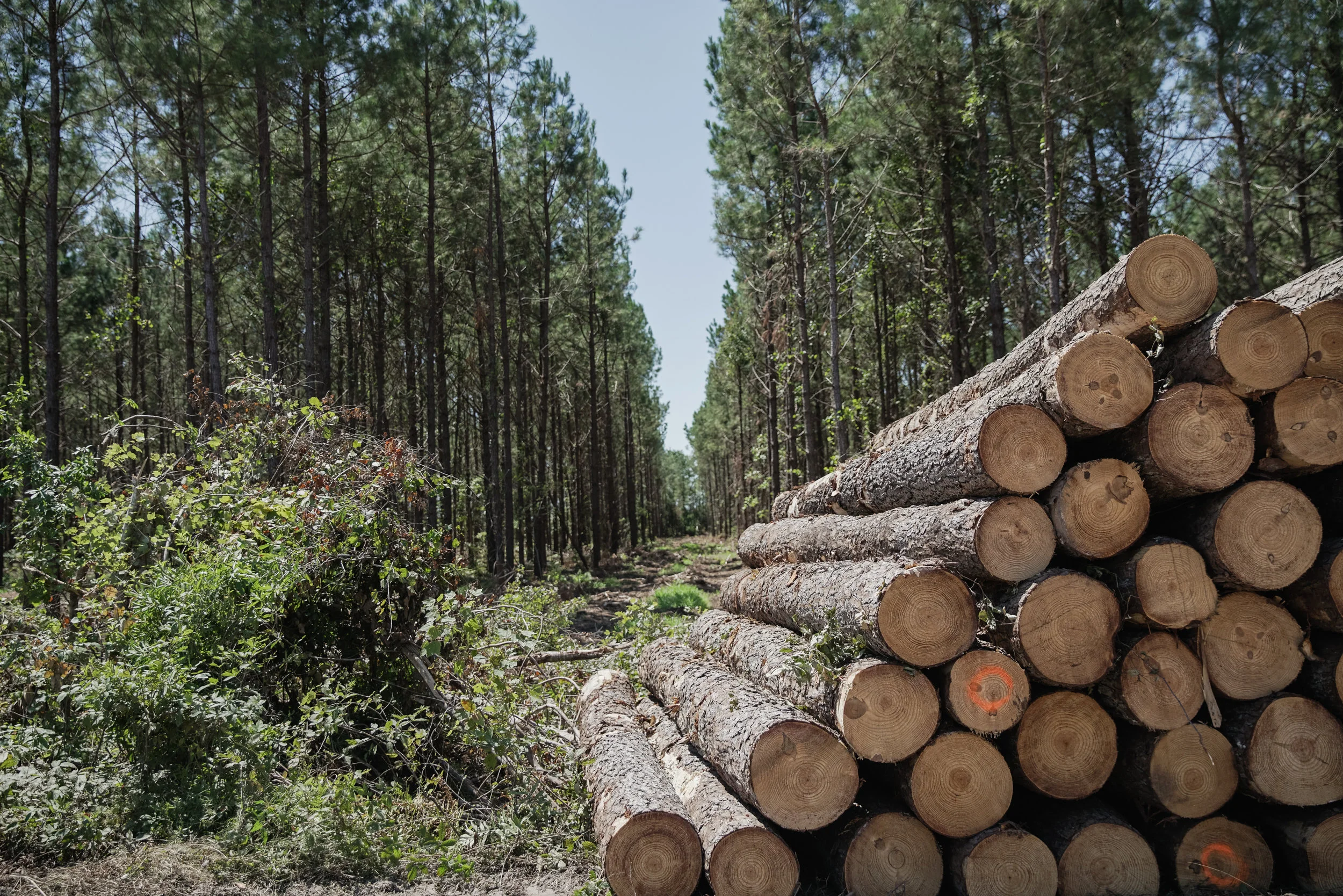 ITP016_Photo_Day 1-0019.jpg