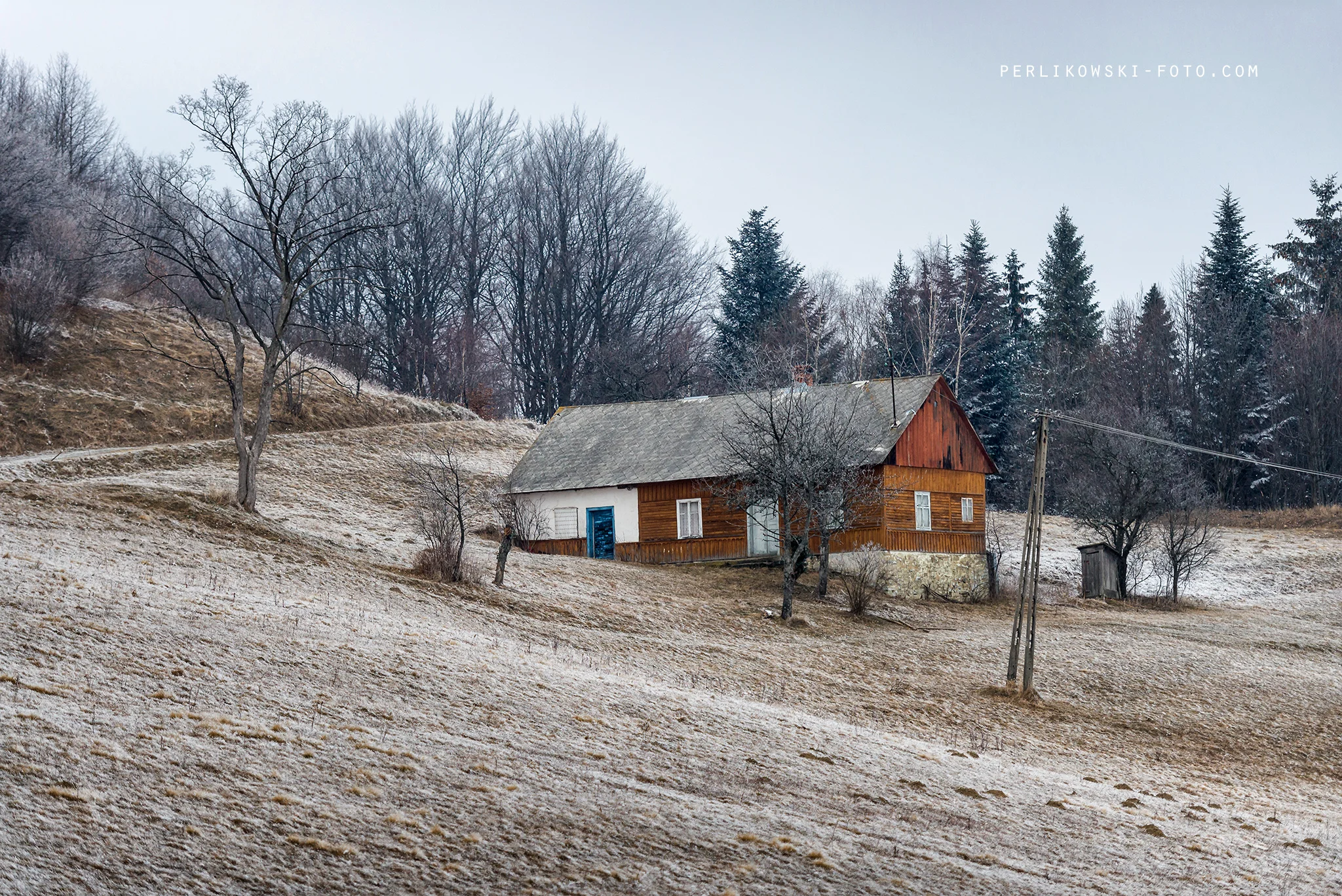 DSC_3472-20.jpg