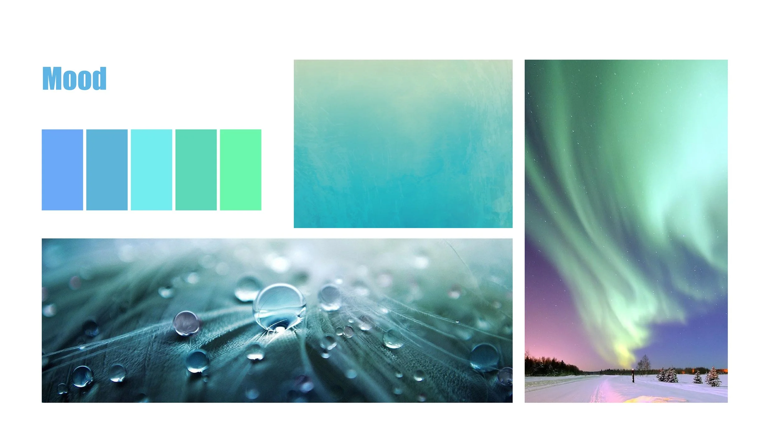 Vooz-Branding Guidelines2.jpg