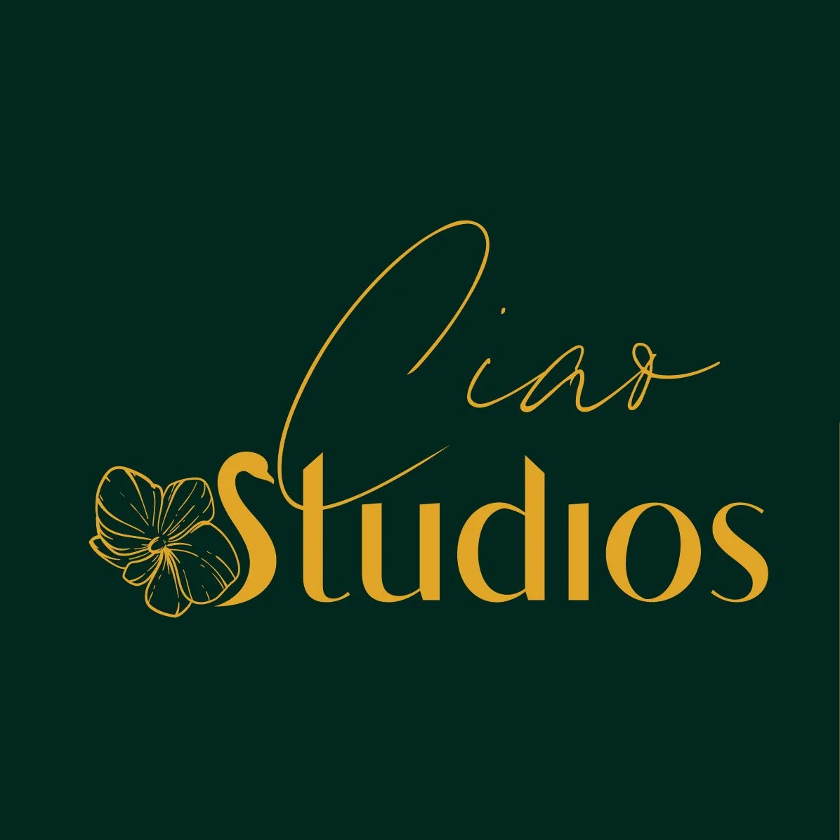 Ciao-Branding-01.jpg