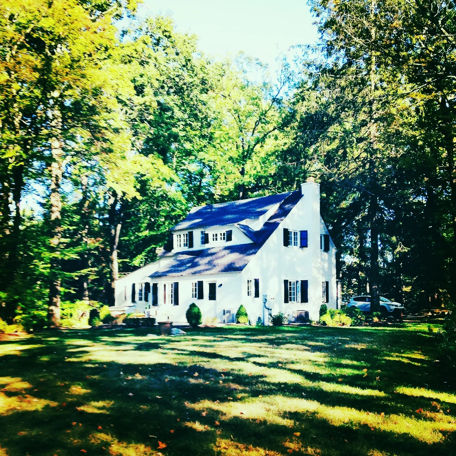 PATTERSON BROOK ROAD SUMMER