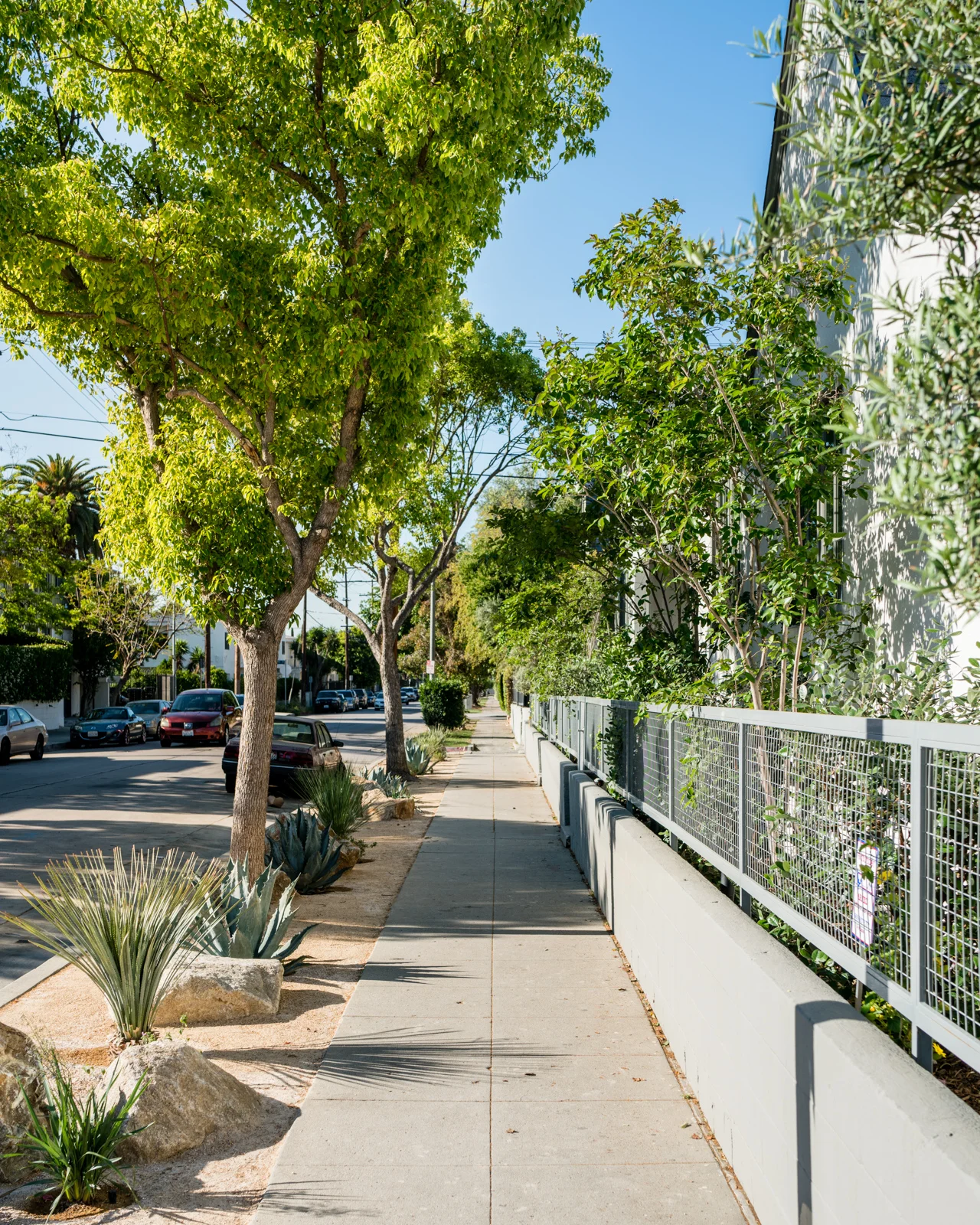 Cara Cara Hollywood - El Centro Avenue