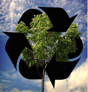 Virtual Ten Steps to Sustainability