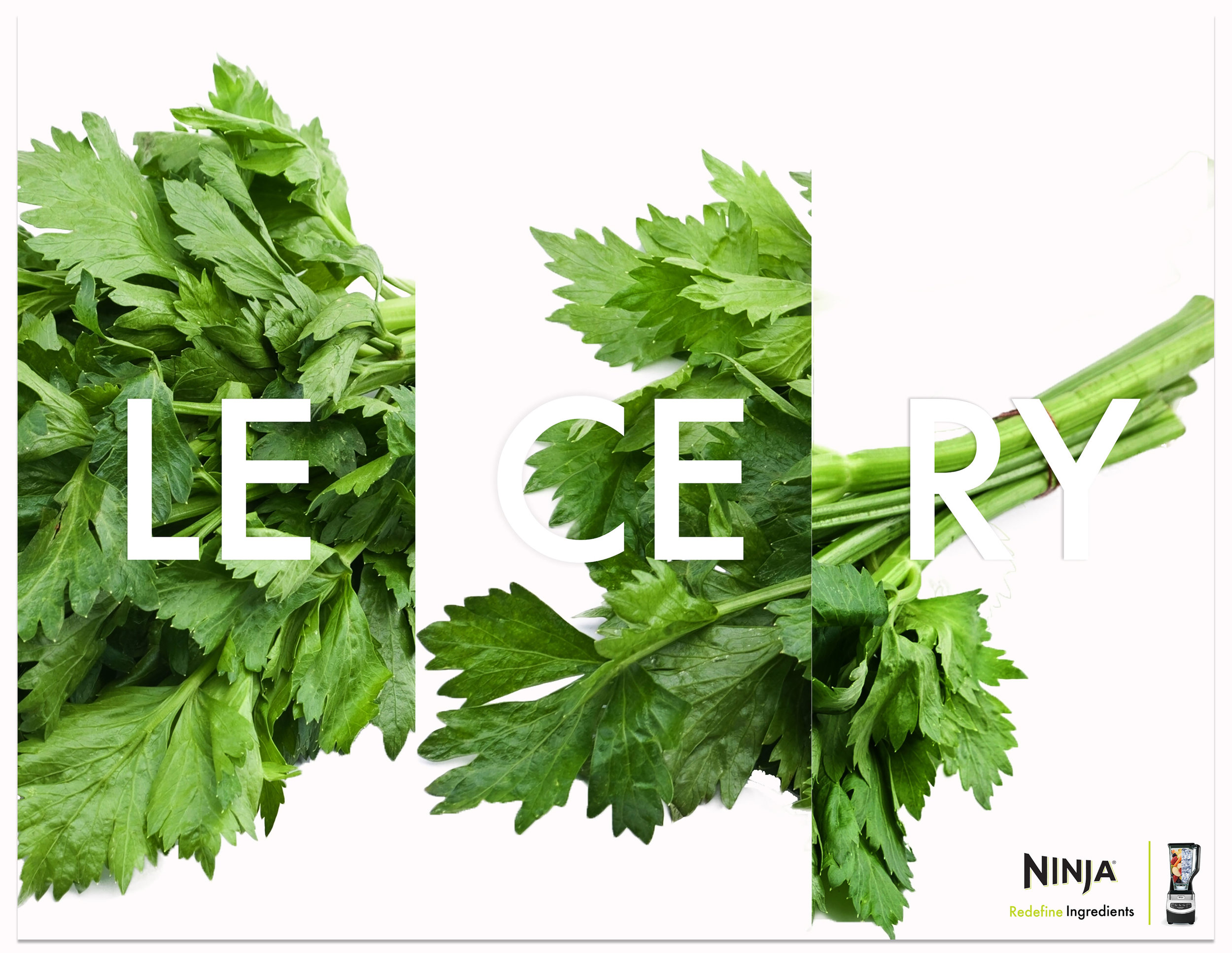 NINJA|Redefine|celery|HD2.jpg
