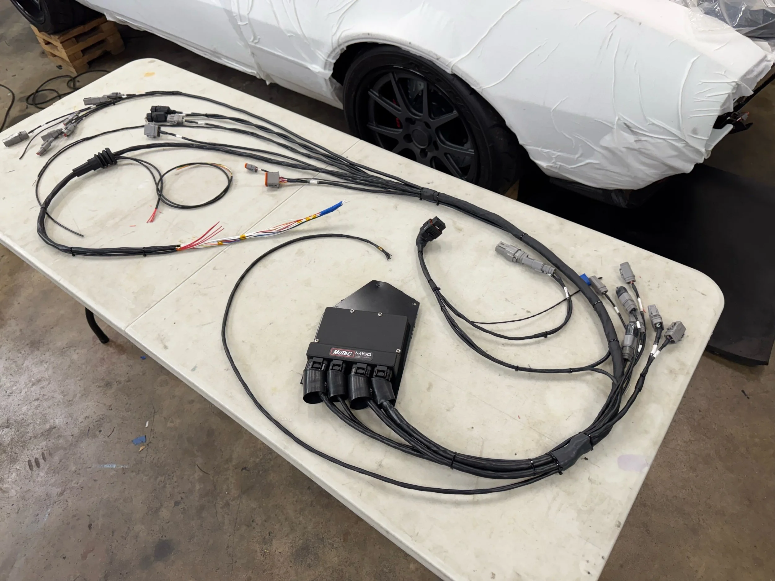 motec race harness.jpeg