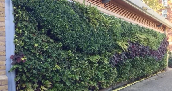 INNOVATION EVERYWHERE ON THIS PLANET