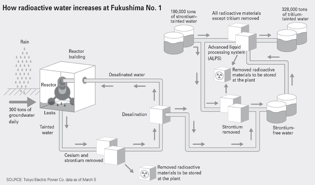 fukusjhima graphic3.jpg