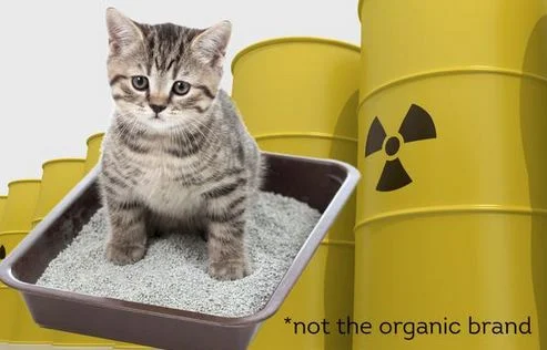 WASTED: The 100,000 Year Nuclear Hangover