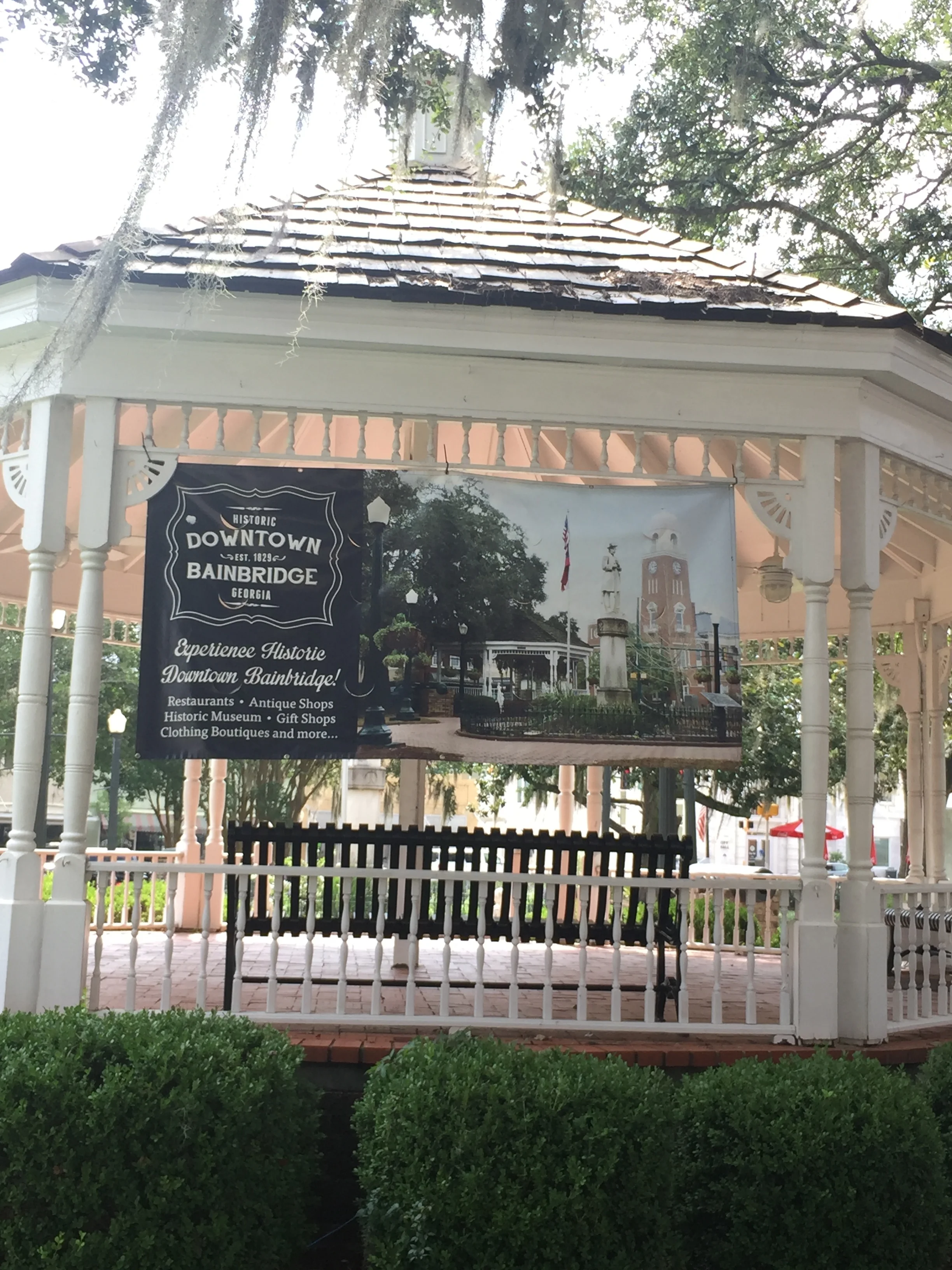Downtown Bainbridge Banner-Design, Print