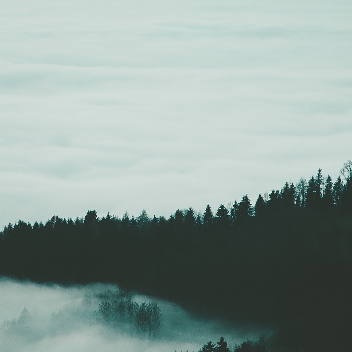 "Manor" sheet music single