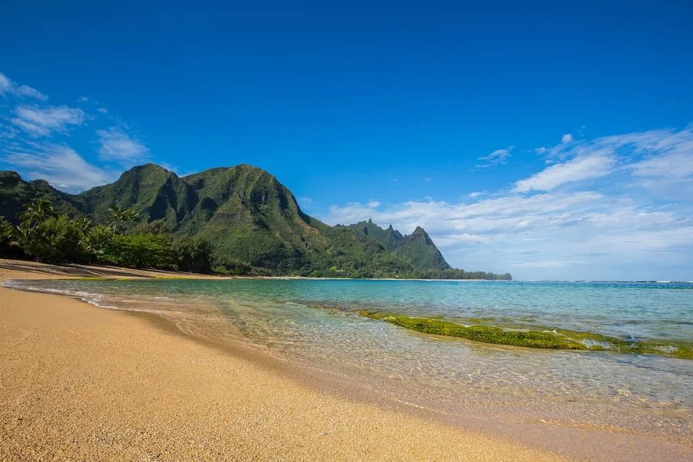Kauai1.jpeg