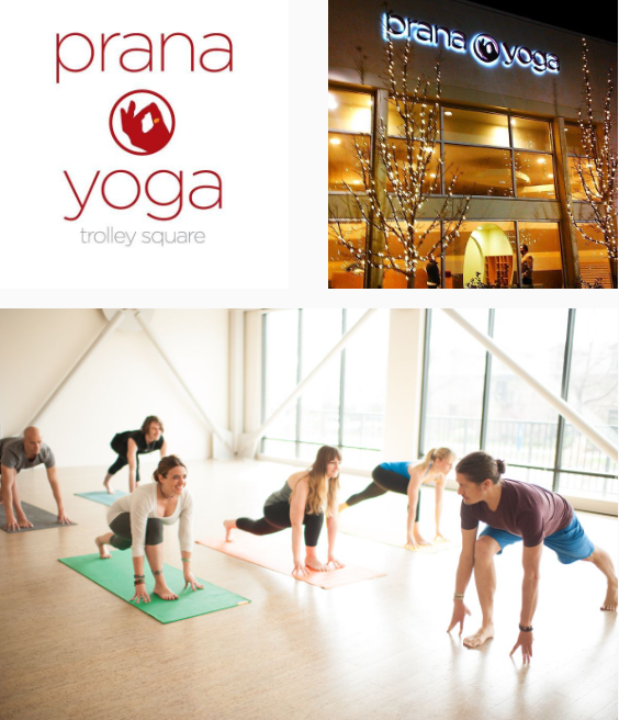 business coaching for yoga teachers