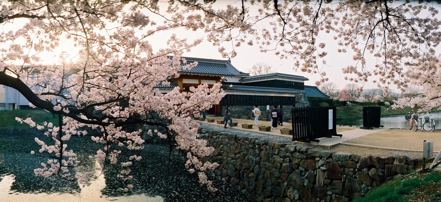 Japan 15  004.jpg