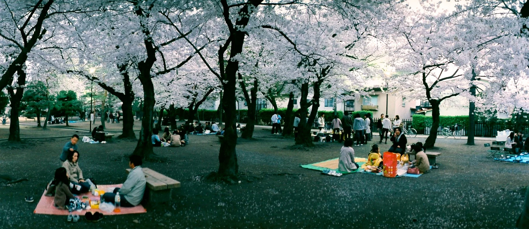Japan 16  006.jpg