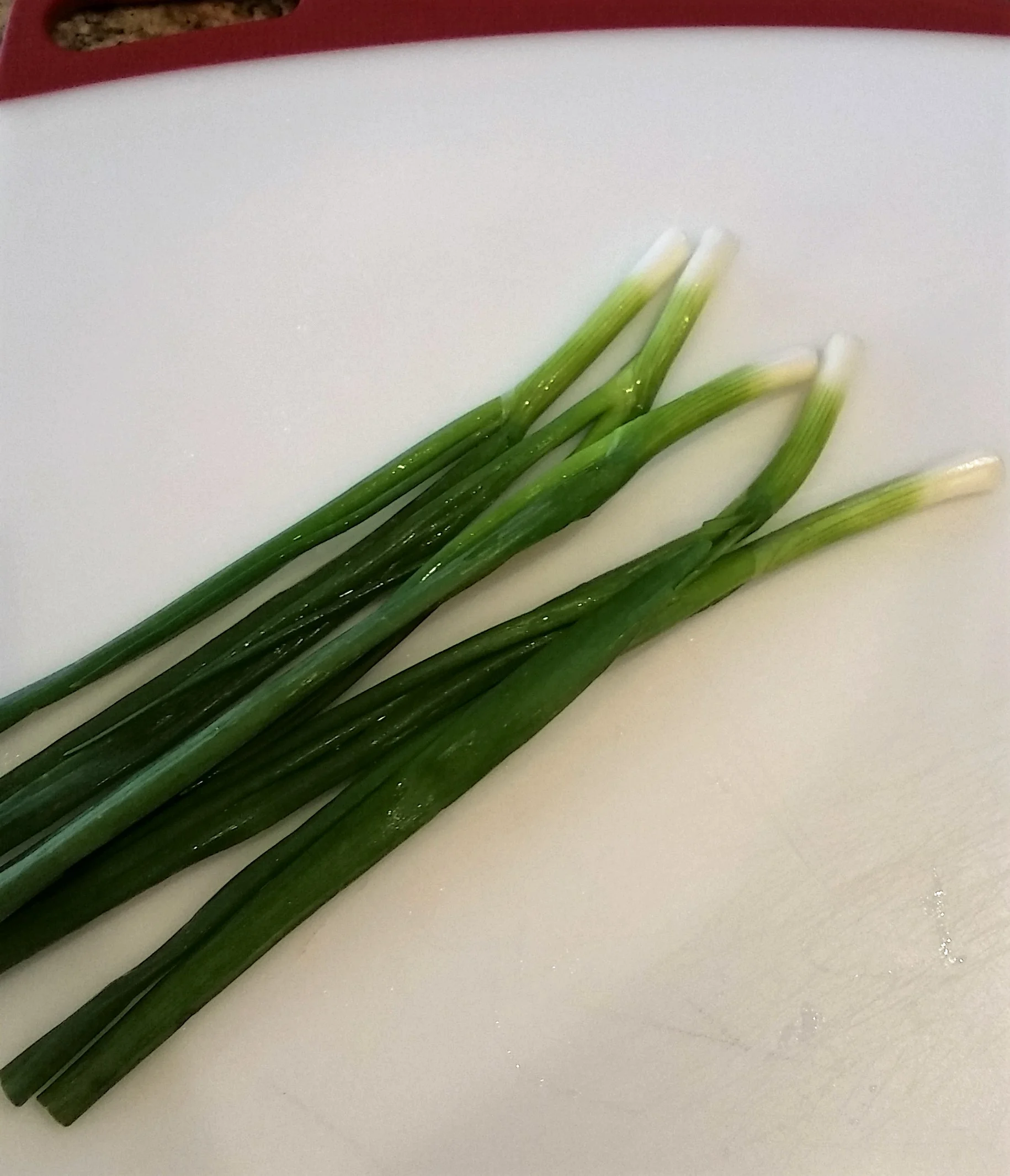 20160320_180221 (2).jpg