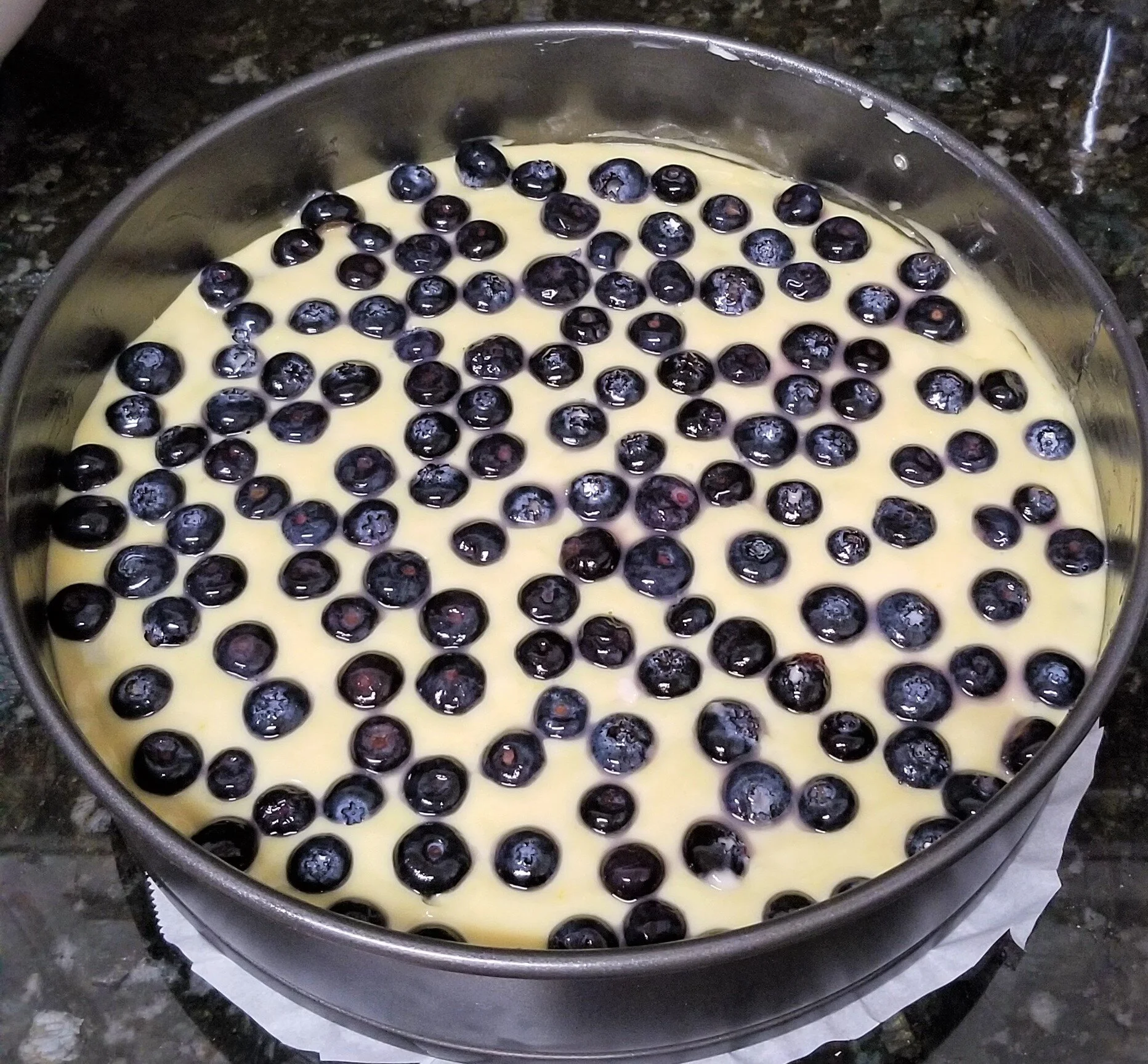 Cake batter with blueberries in spring form