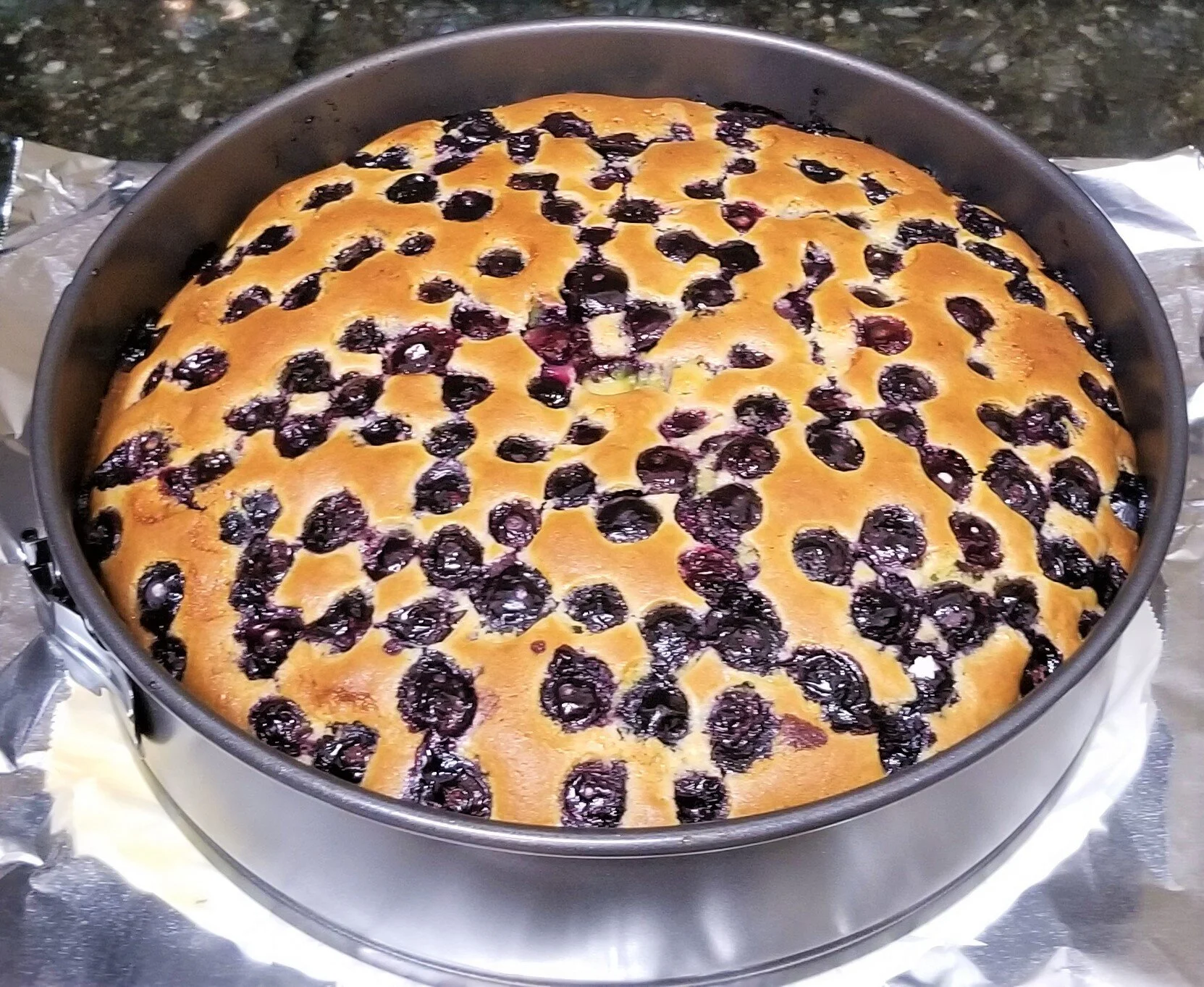Blueberry and lemon cake baked in a spring form