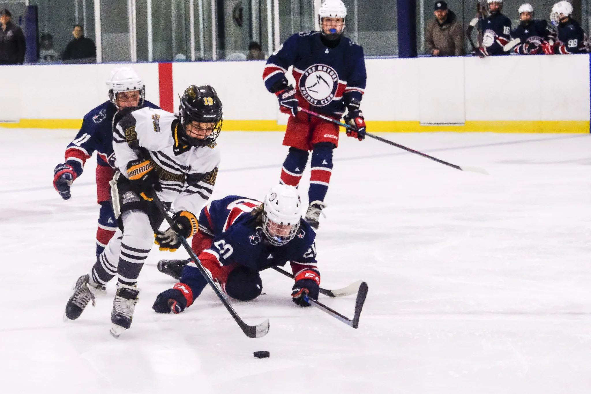 Bulldogs 2027-0226.jpg