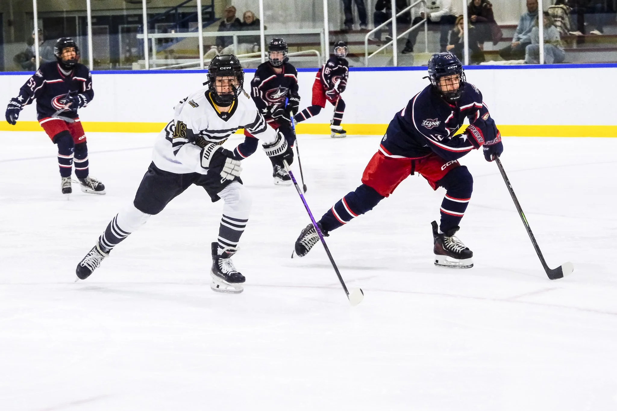 Bulldogs 2027-1347.jpg