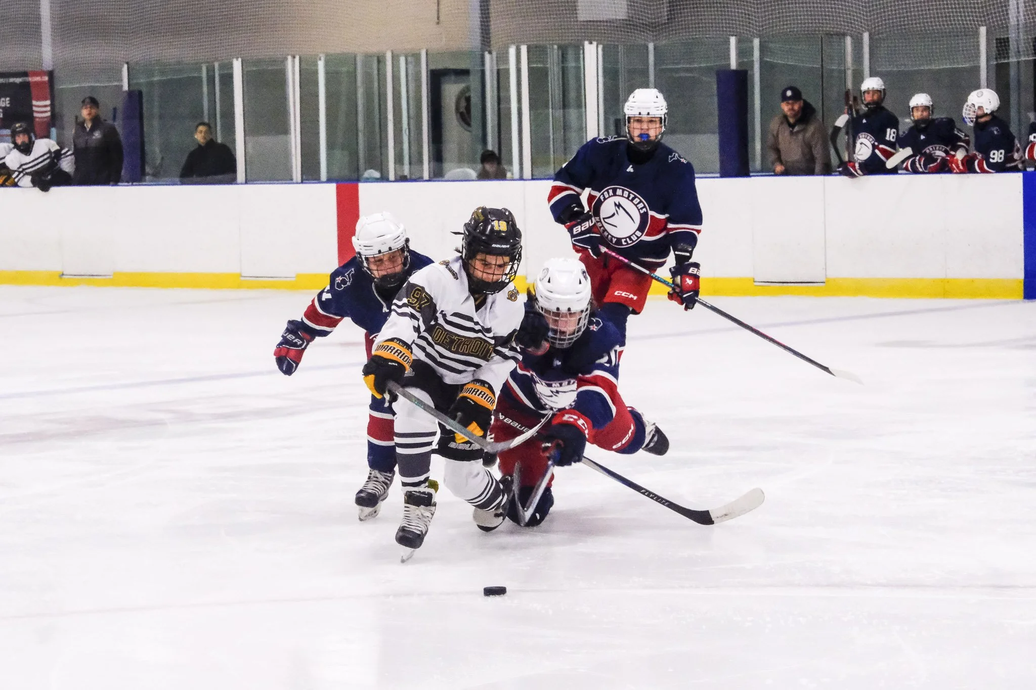 Bulldogs 2027-0222.jpg