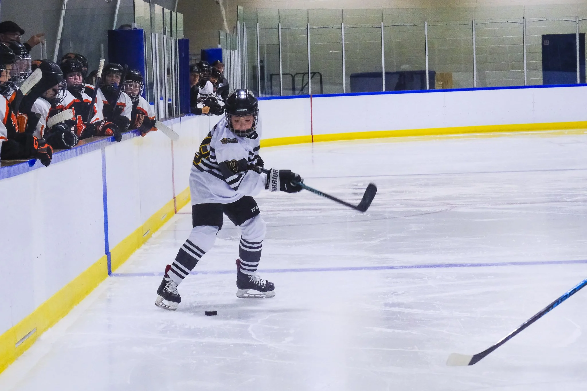 Bulldogs 2027-9012.jpg