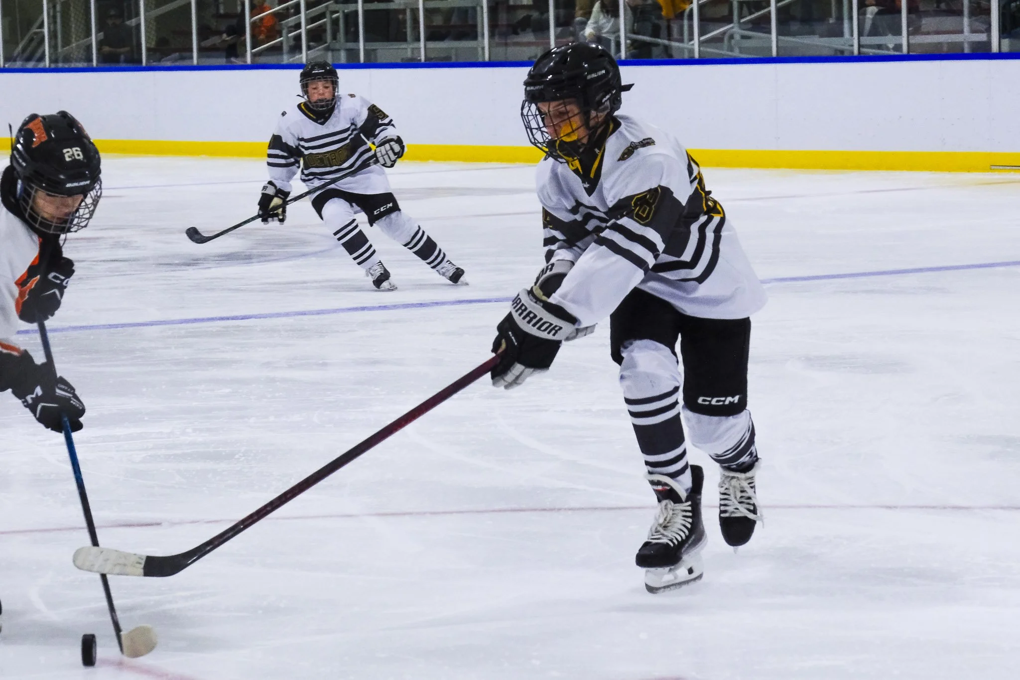 Bulldogs 2027-9119.jpg