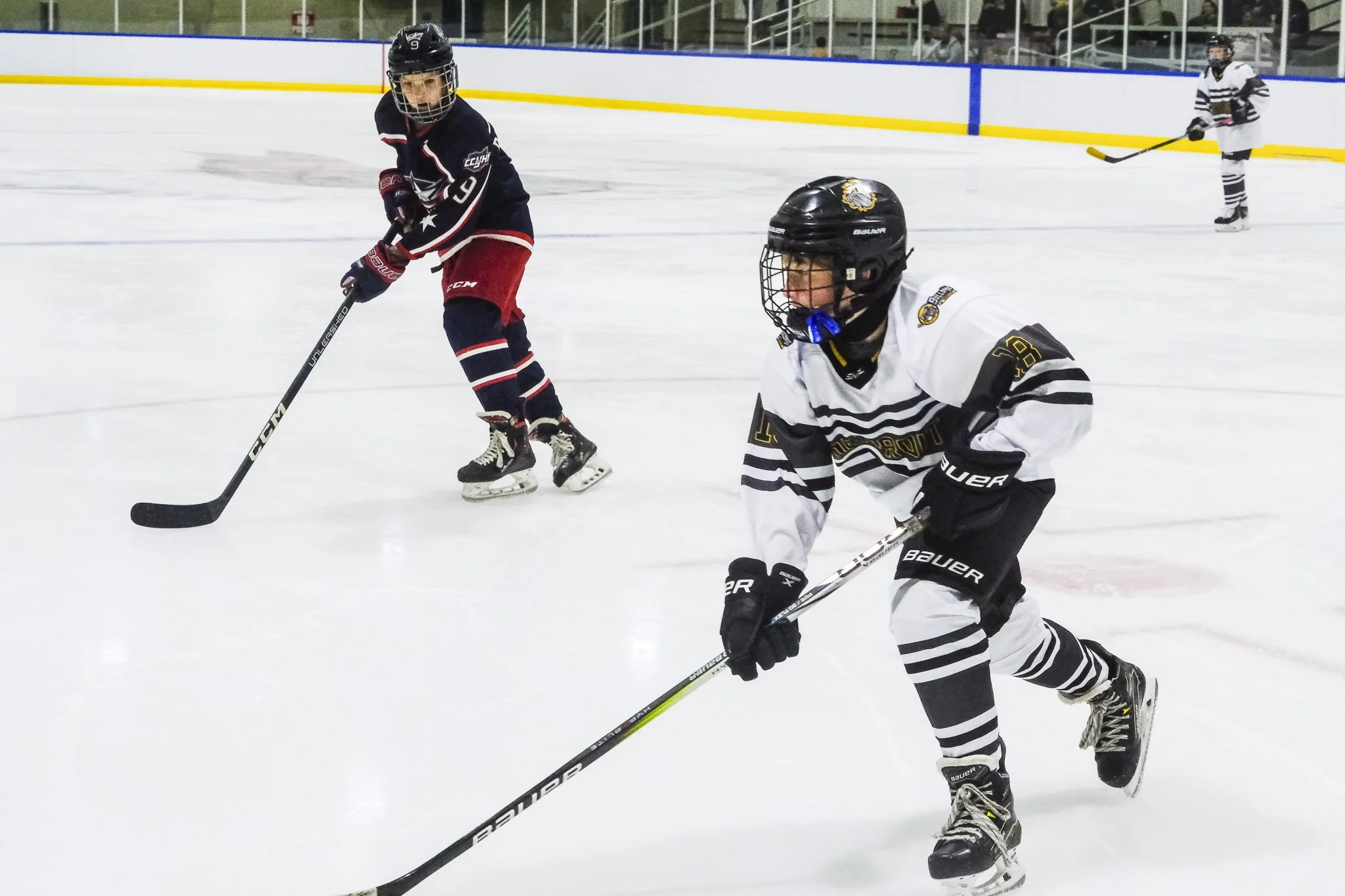 Bulldogs 2027-1306.jpg