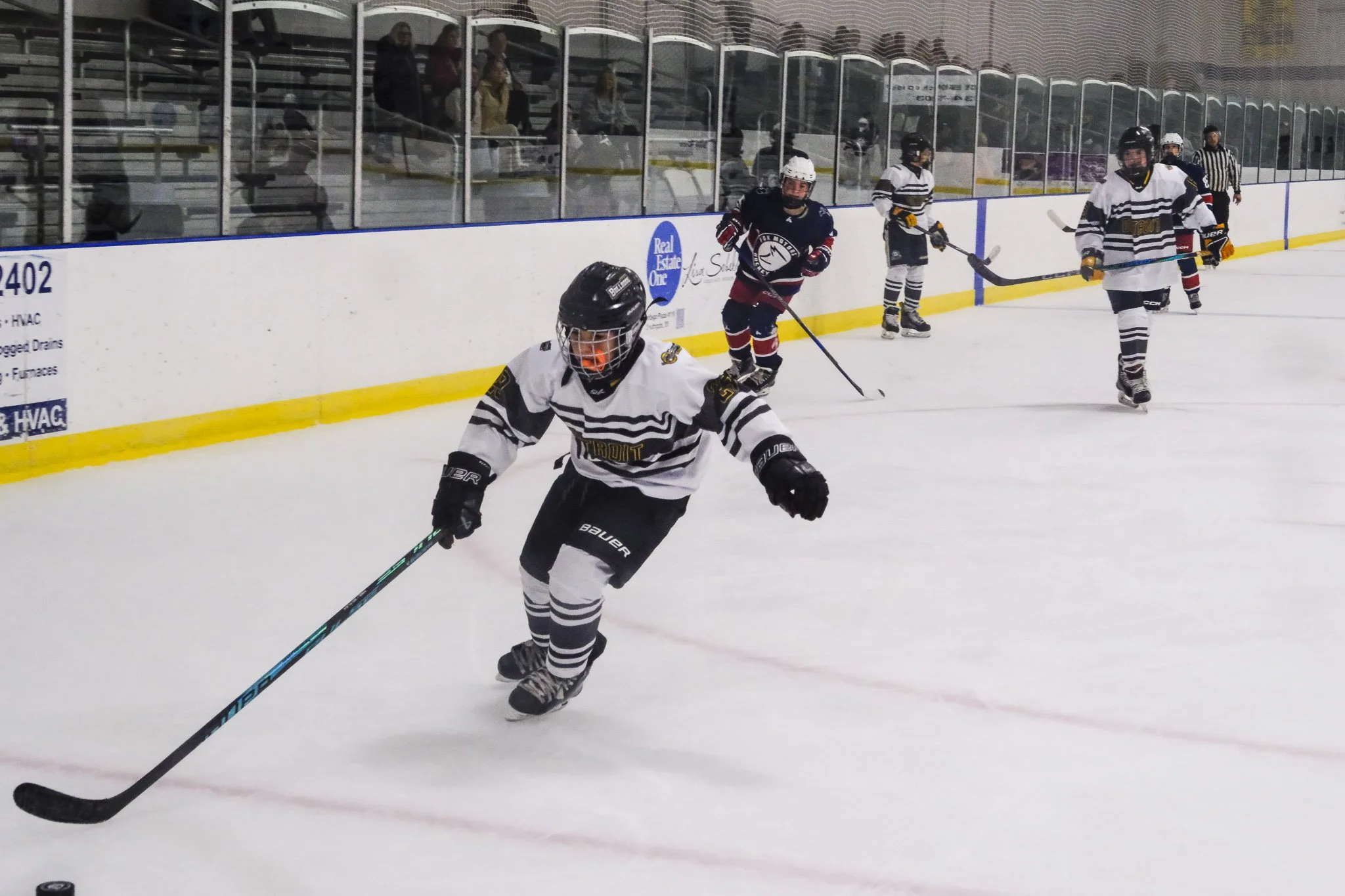 Bulldogs 2027-0491.jpg