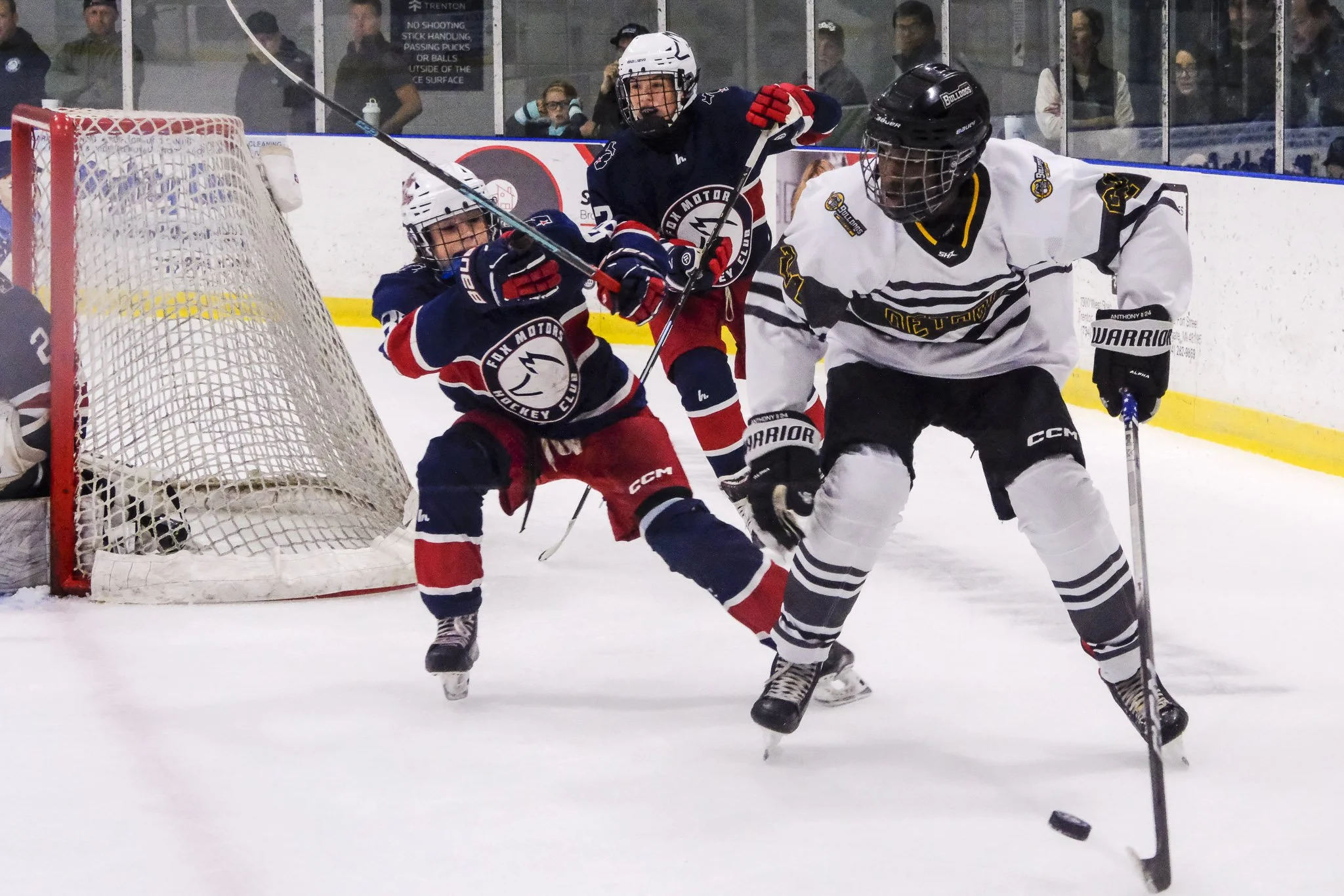 Bulldogs 2027-0782.jpg