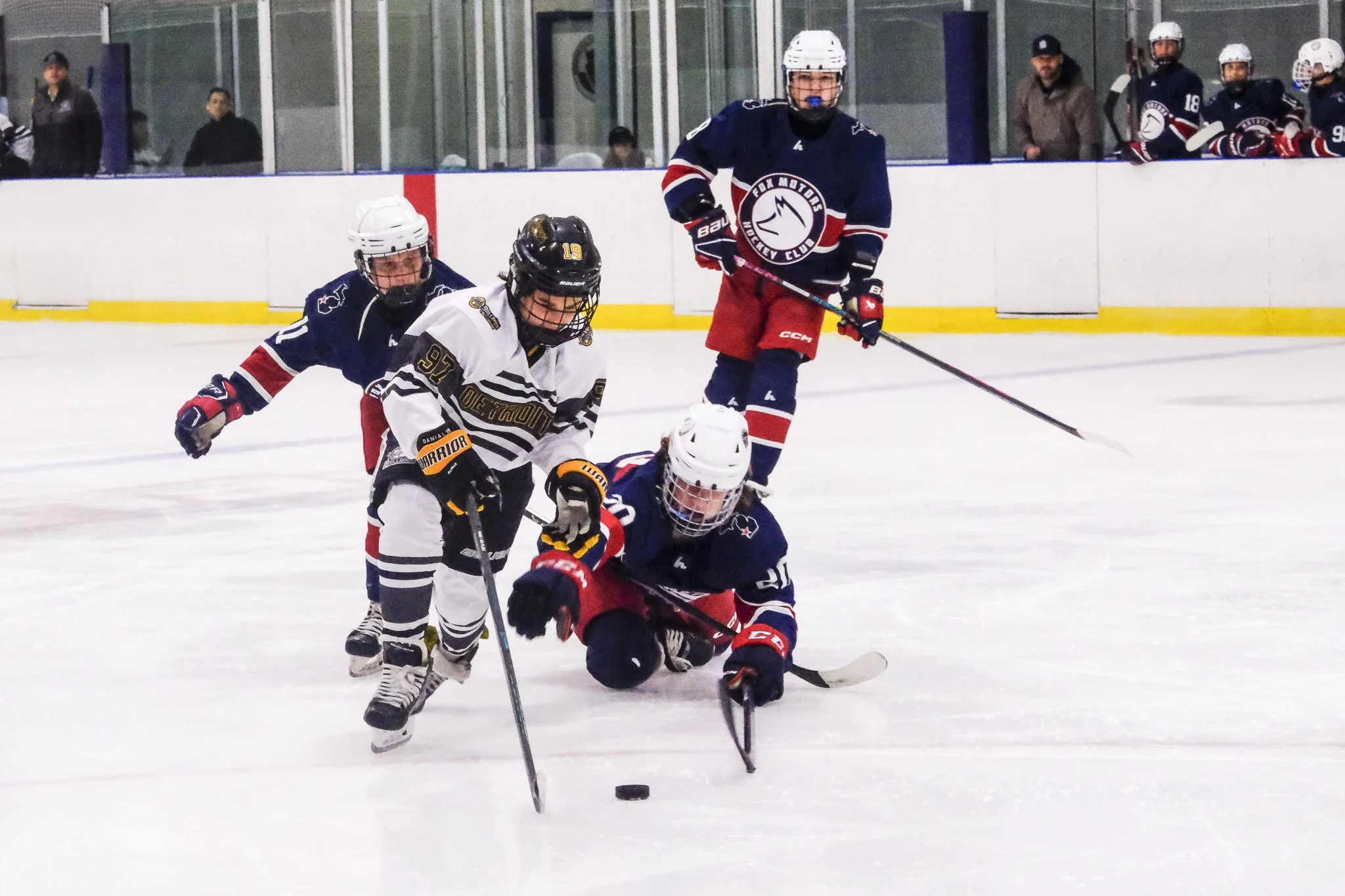 Bulldogs 2027-0224.jpg