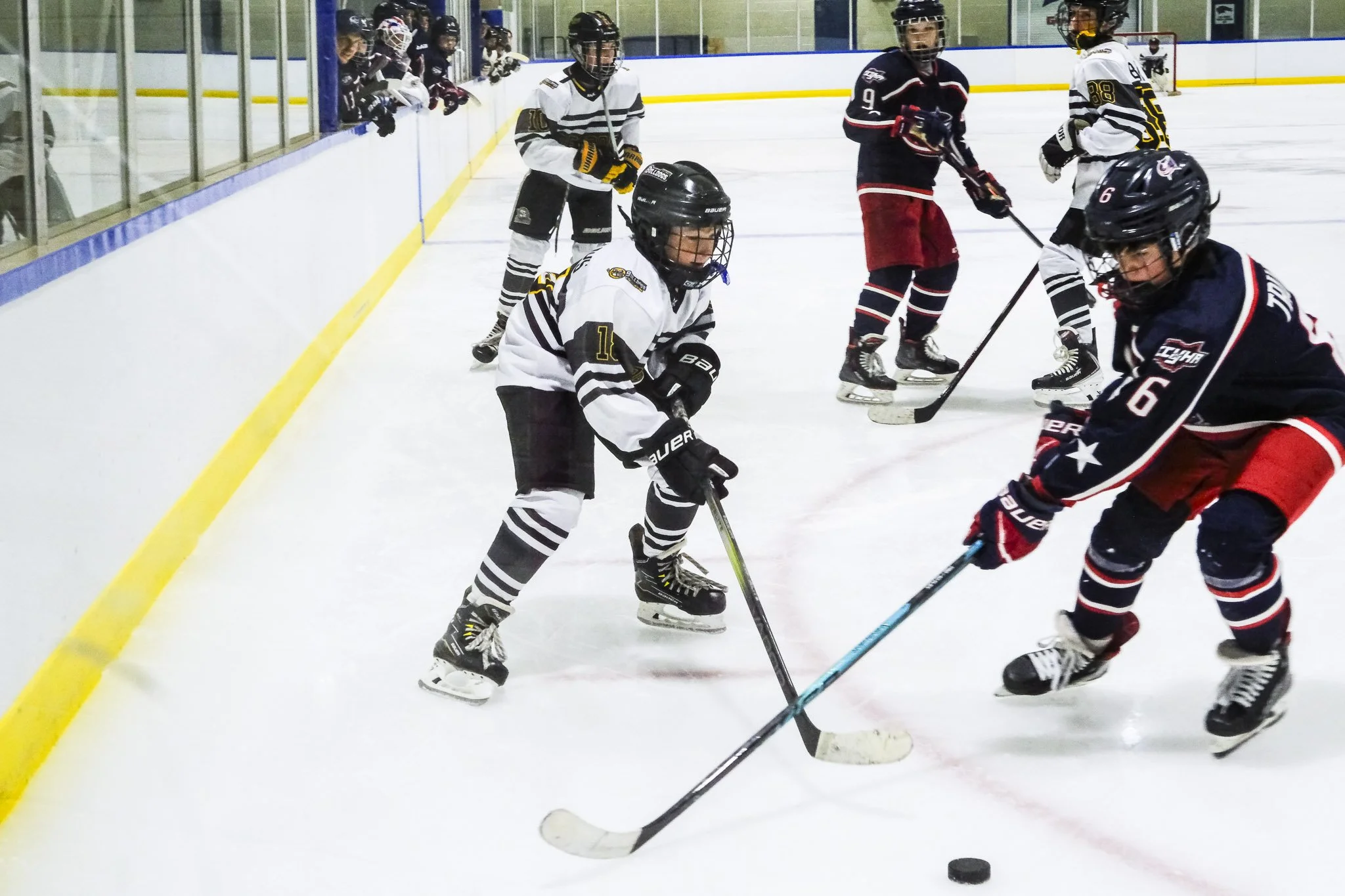 Bulldogs 2027-1331.jpg