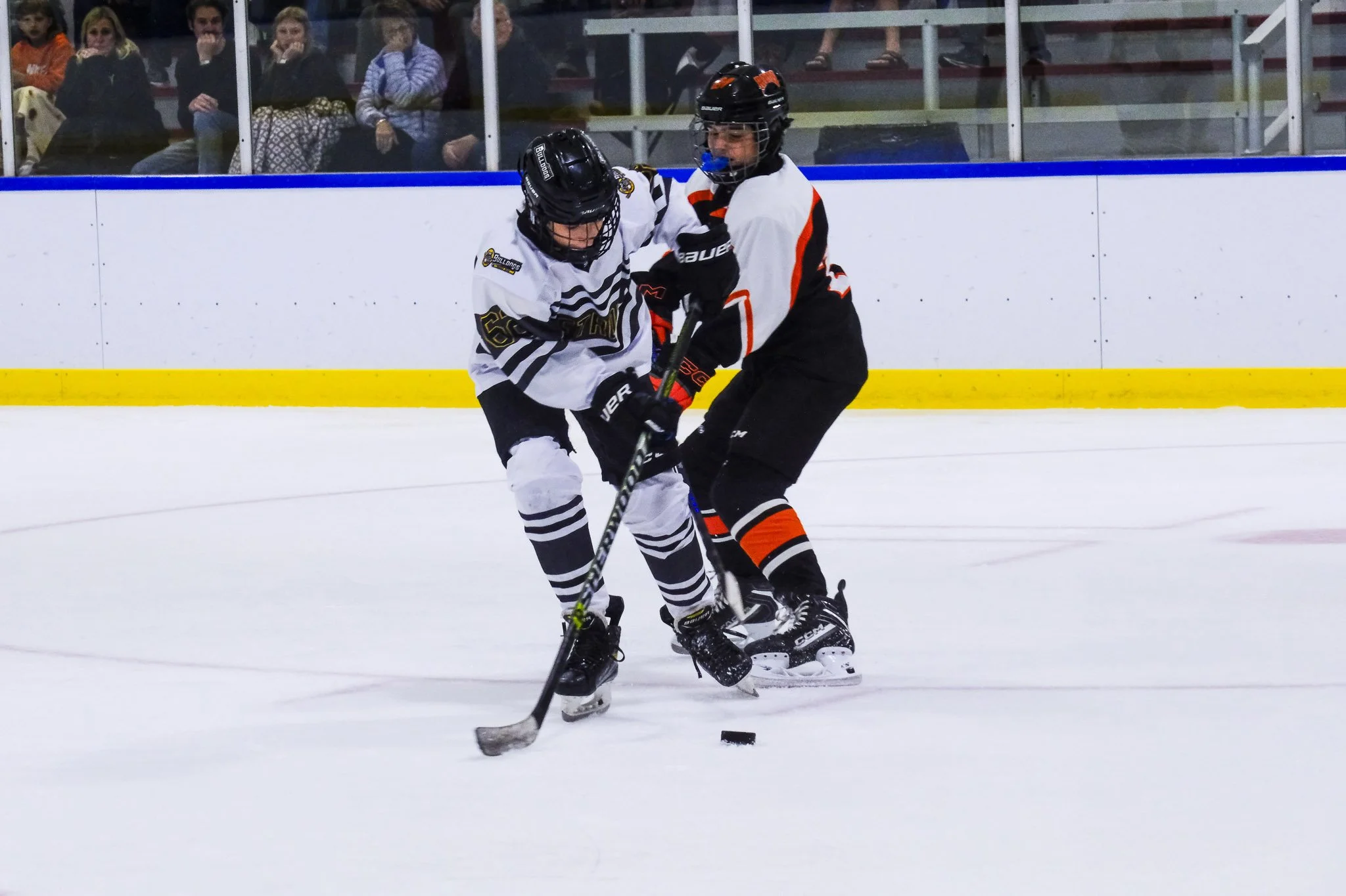 Bulldogs 2027-9545.jpg