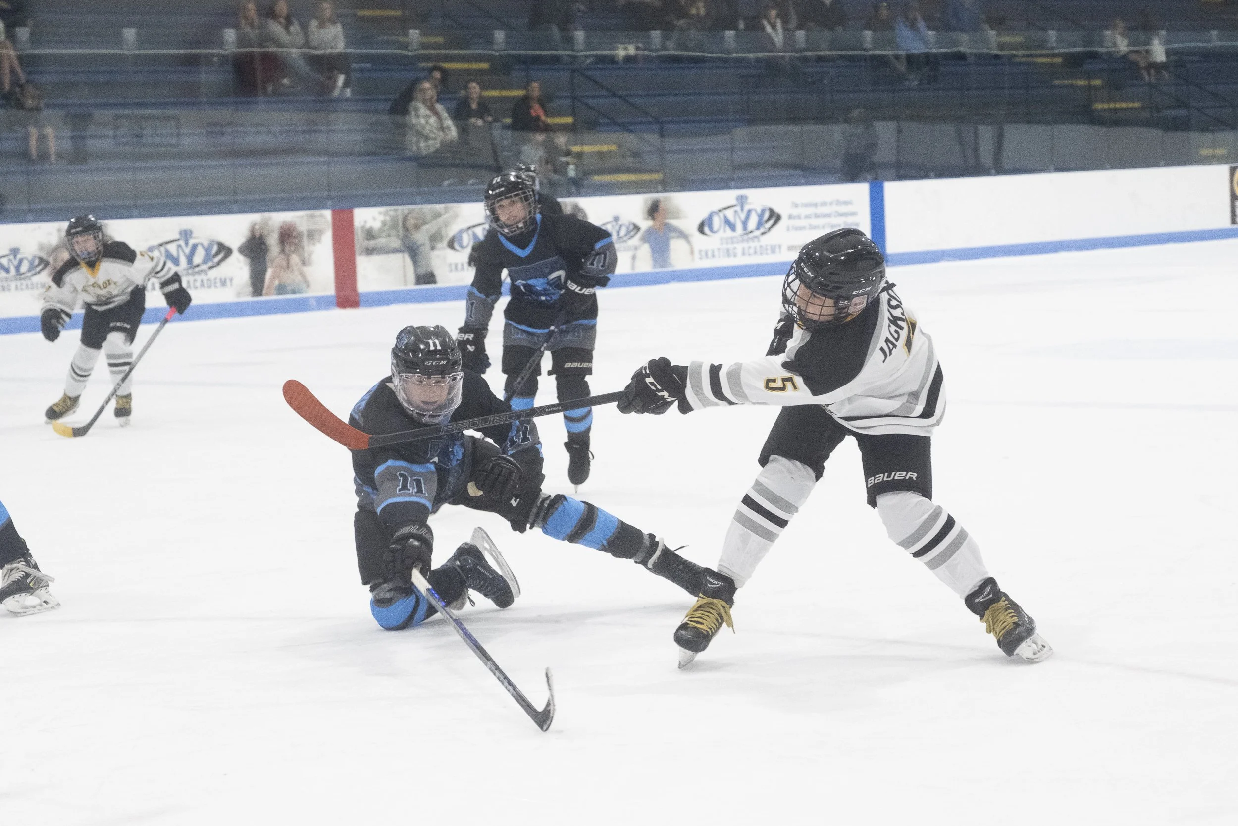 Bulldogs2025-0550.jpg