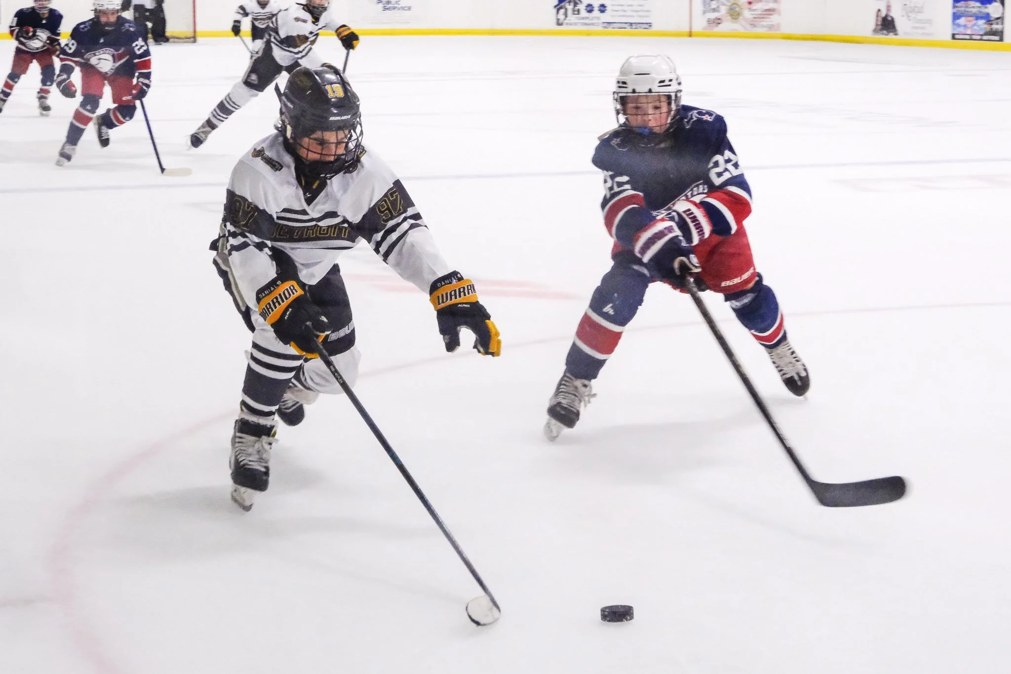 Bulldogs 2027-0820.jpg